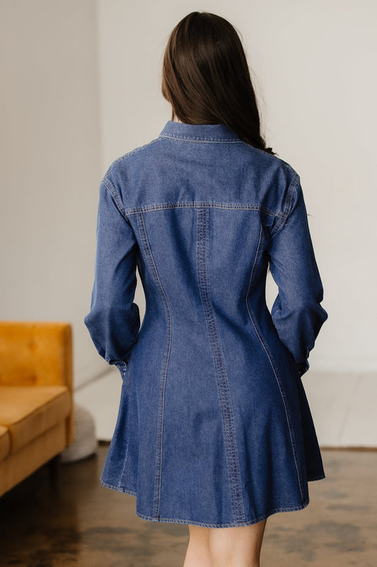 Zoe Flared Mini Dress