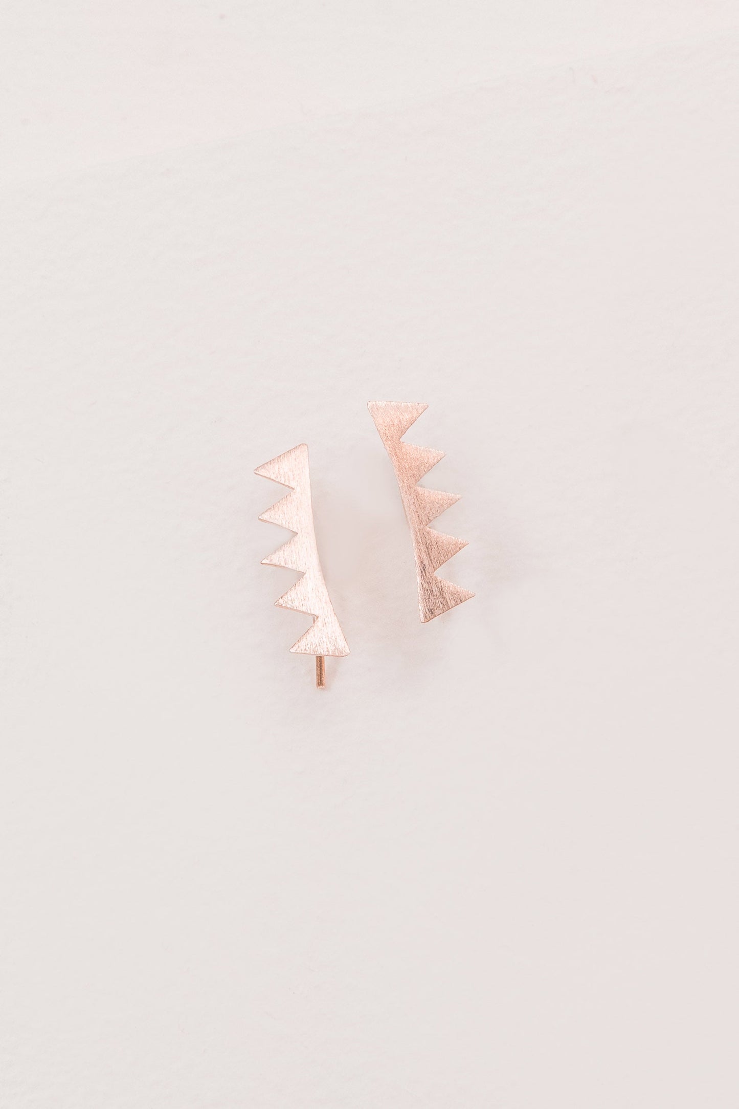 Spiked Ear Pin Earrings