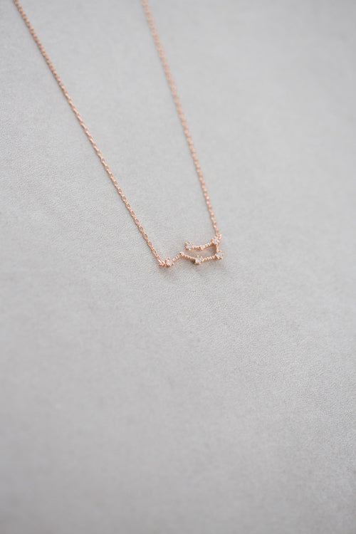 Aquarius Zodiac Necklace