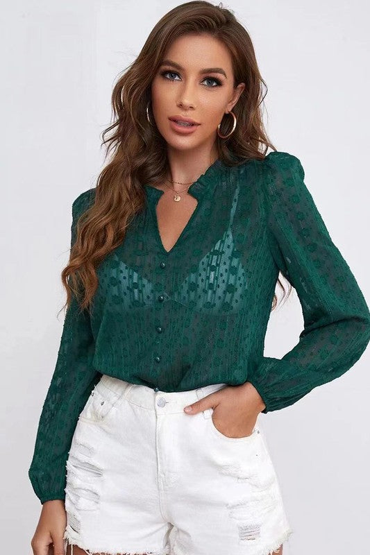Long sleeve sheer blouse