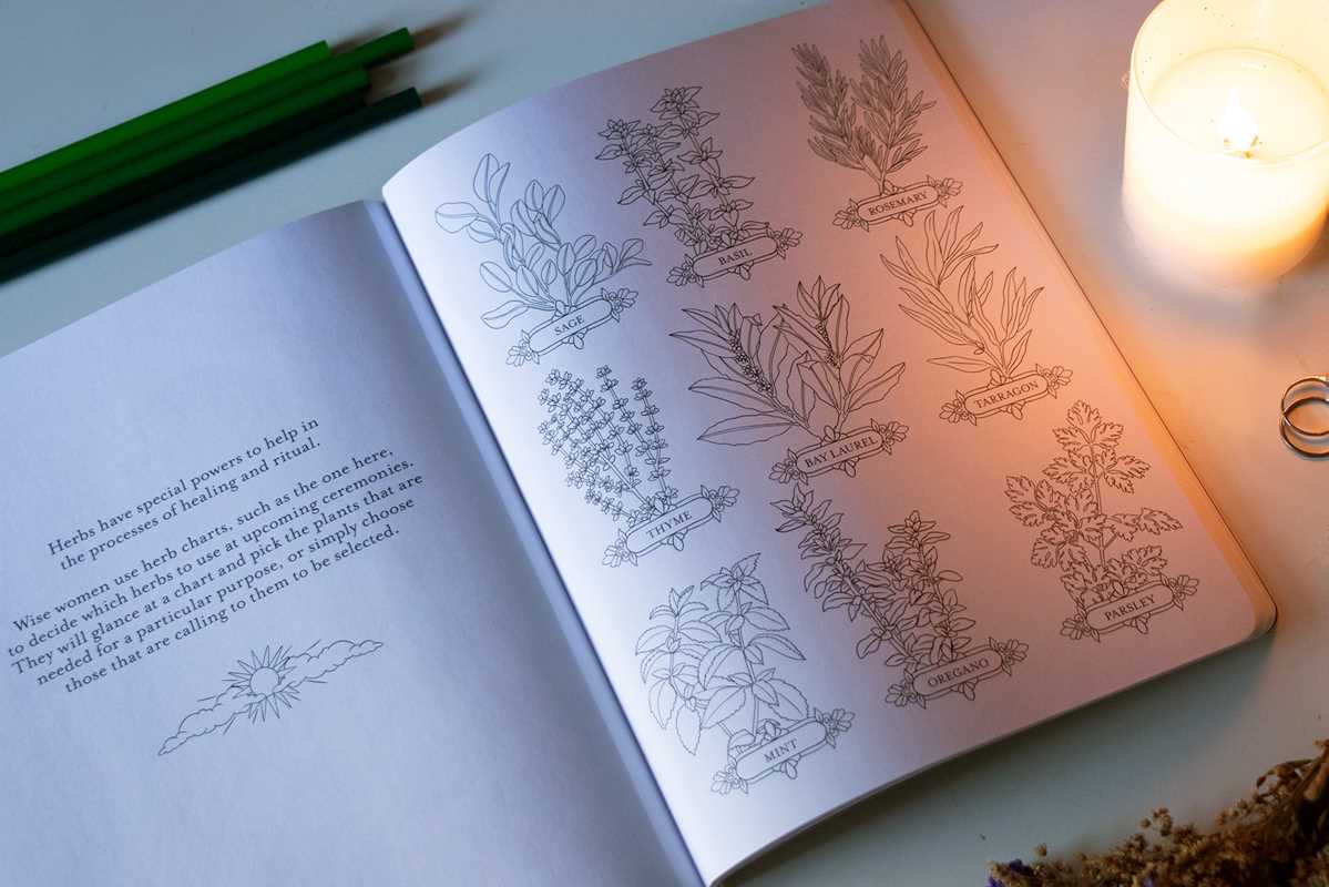 Believe in Magic Coloring Book by Claire Scully