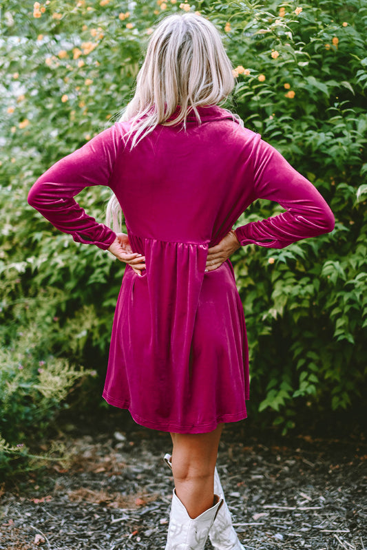 Velvet Ruffle Buttoned Long Sleeve Dress