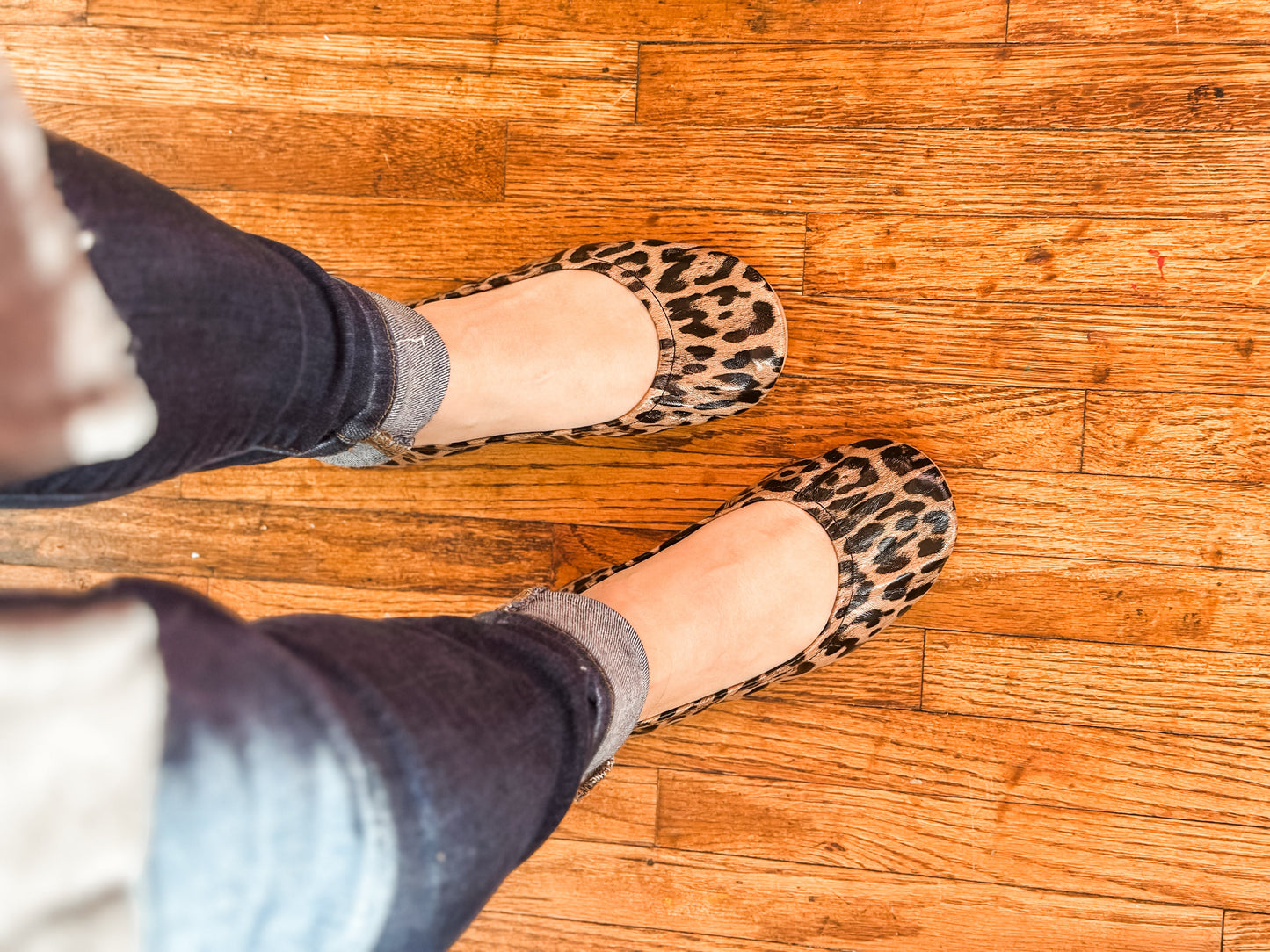 Lyla Leopard