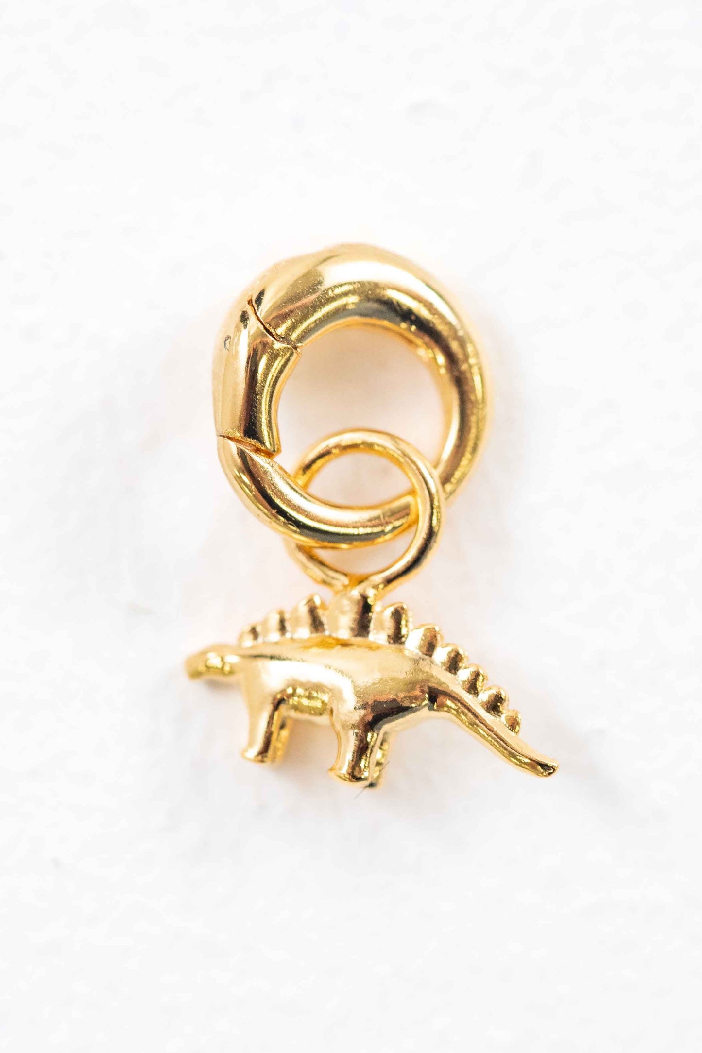 Dino Charm