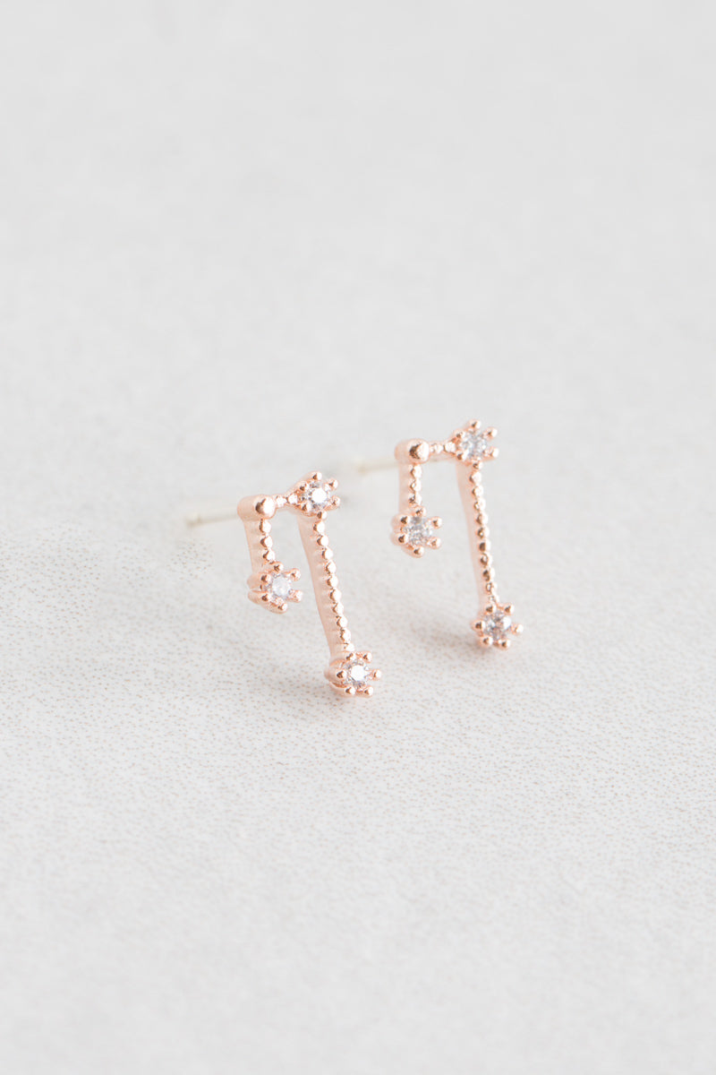 Taurus Zodiac Earrings