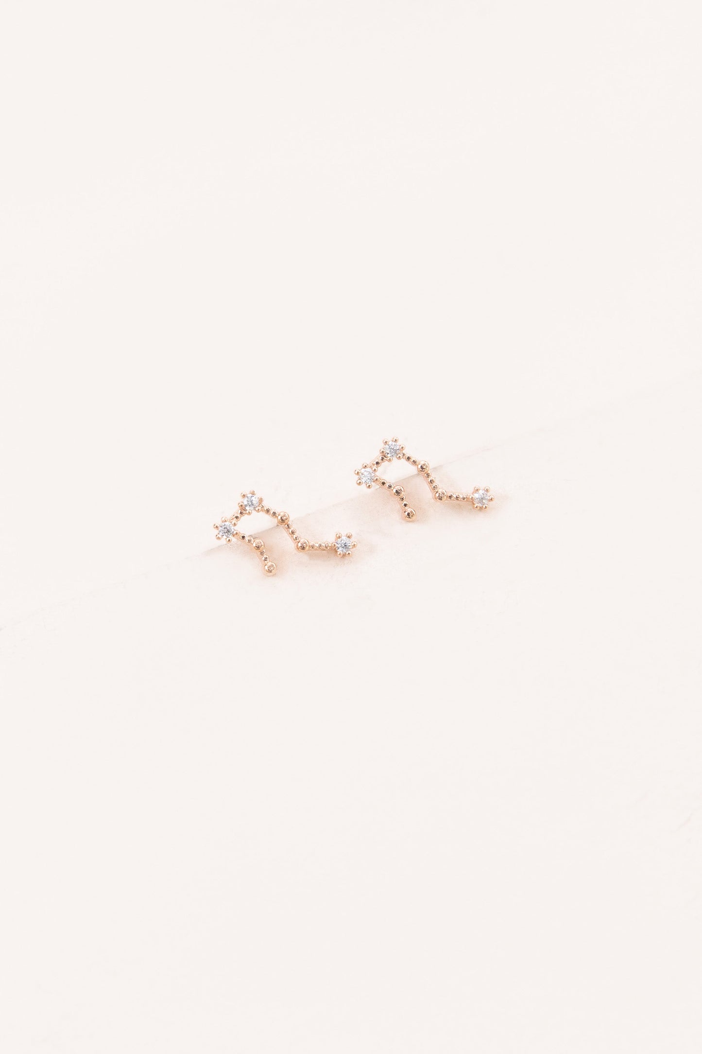 Aquarius Zodiac Earrings