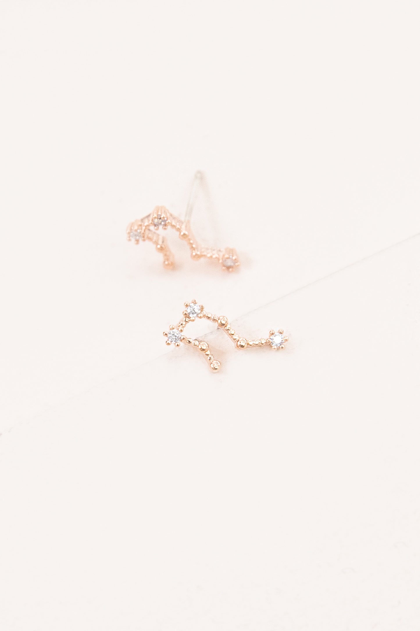 Aquarius Zodiac Earrings