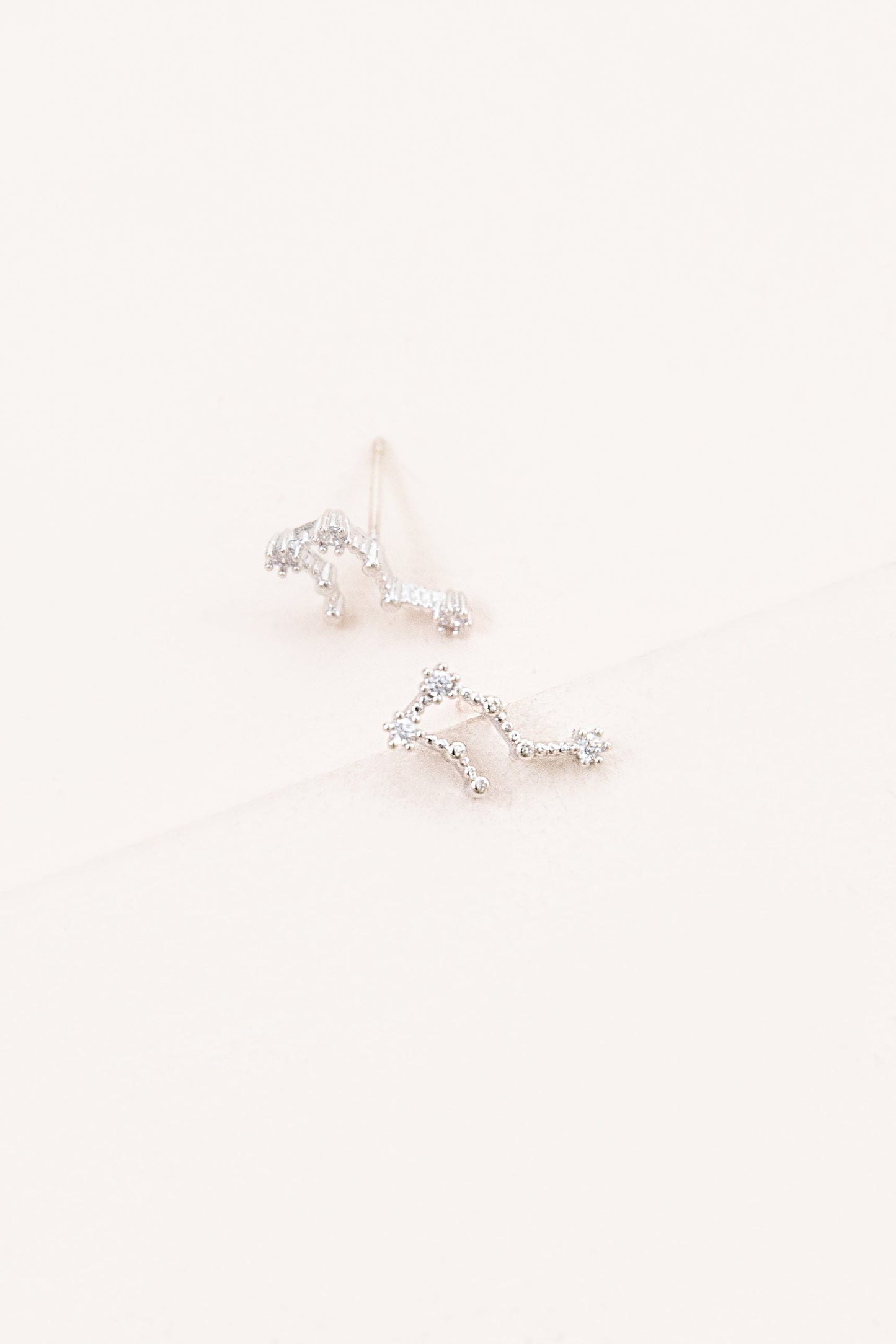 Aquarius Zodiac Earrings