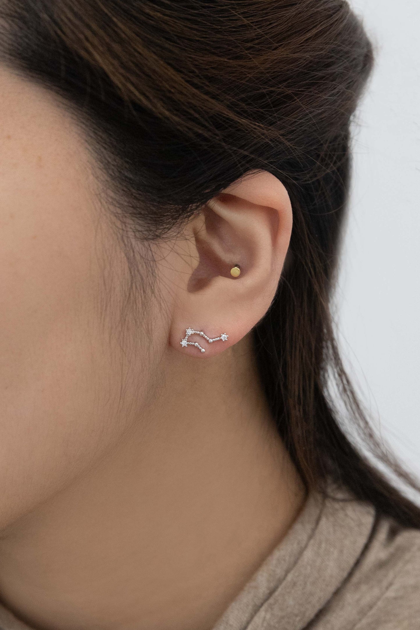 Aquarius Zodiac Earrings