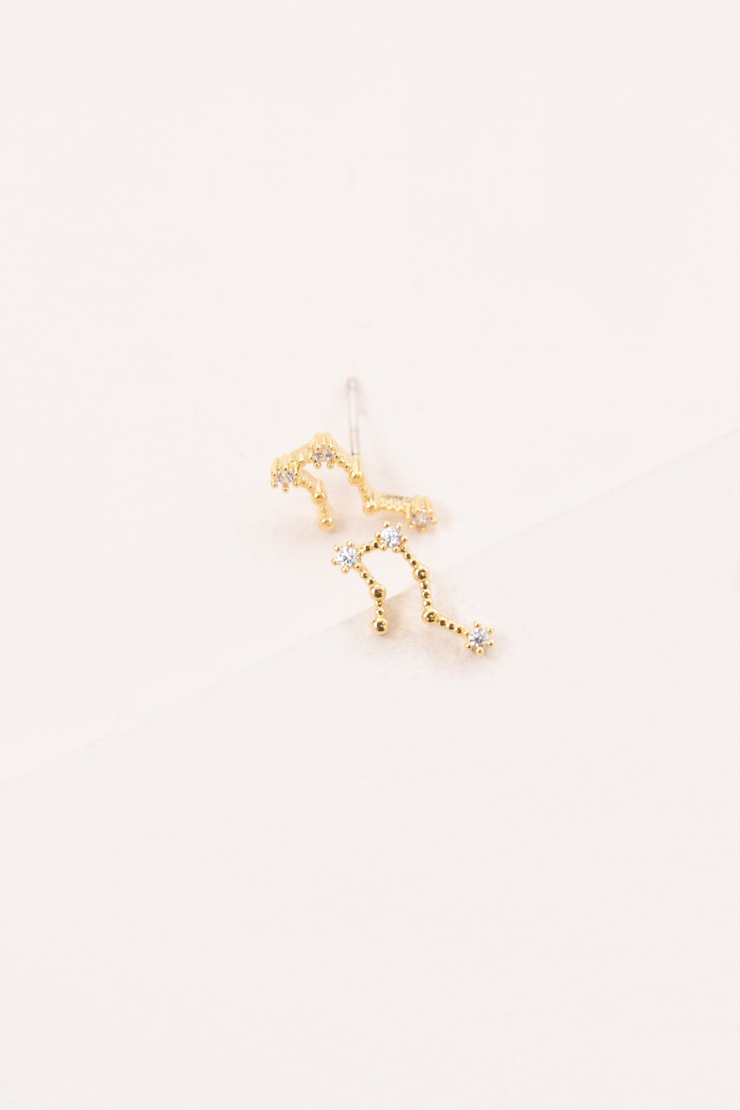 Aquarius Zodiac Earrings