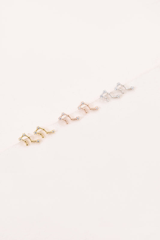 Aquarius Zodiac Earrings