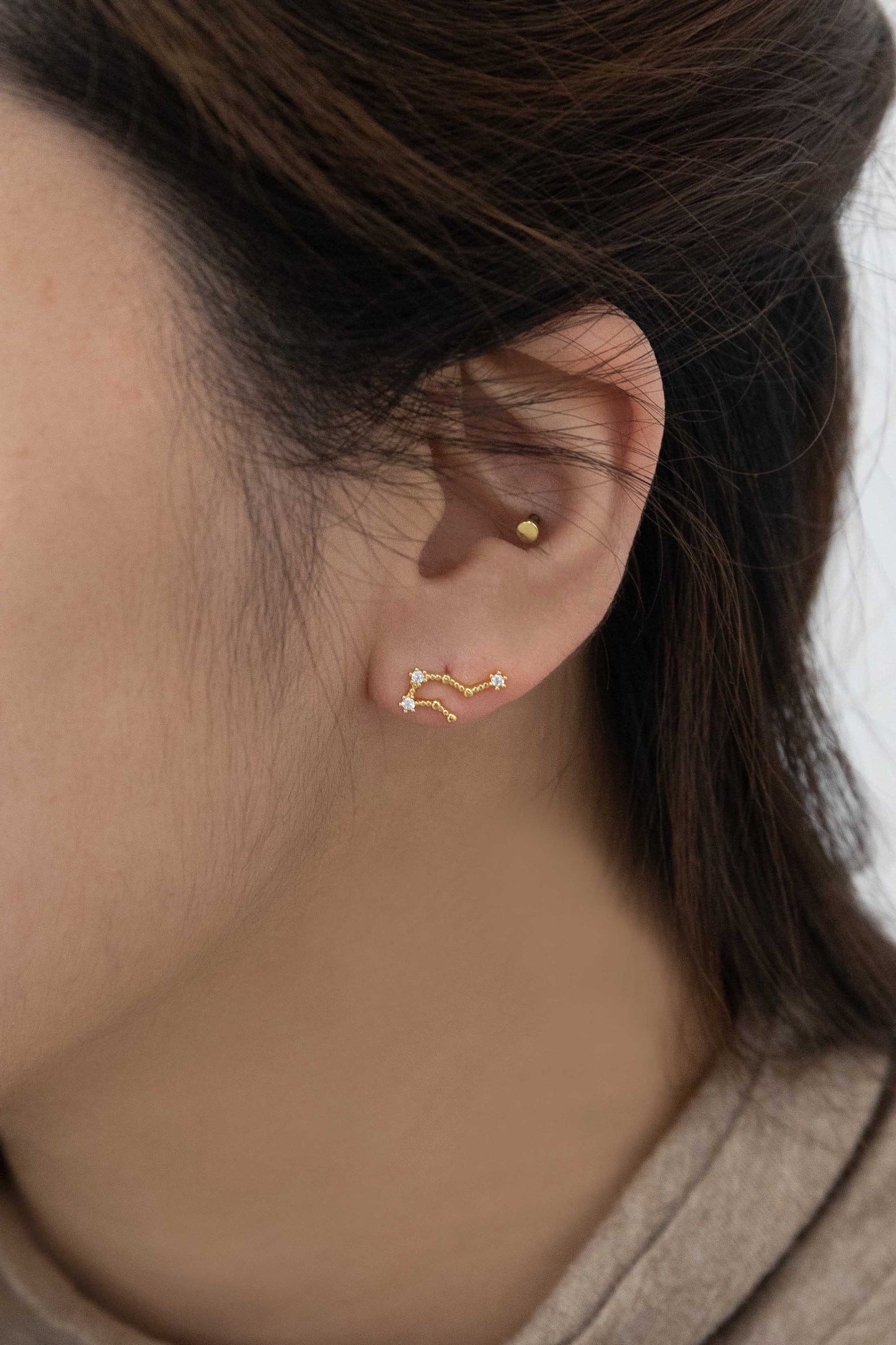 Aquarius Zodiac Earrings