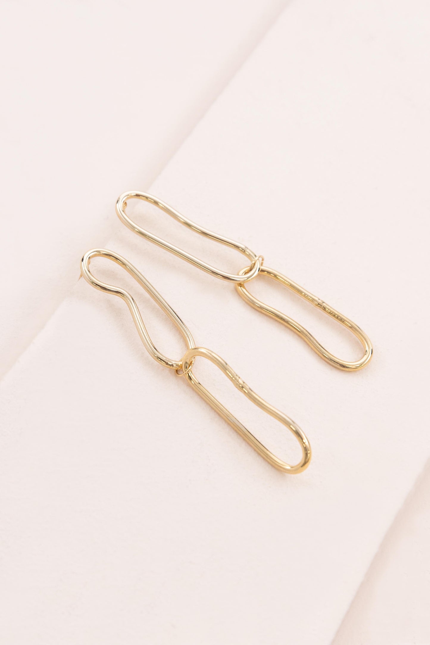 Tag Along Link Earrings
