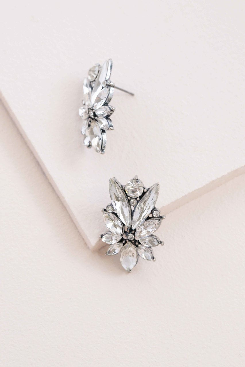 Wondrous Array Earrings