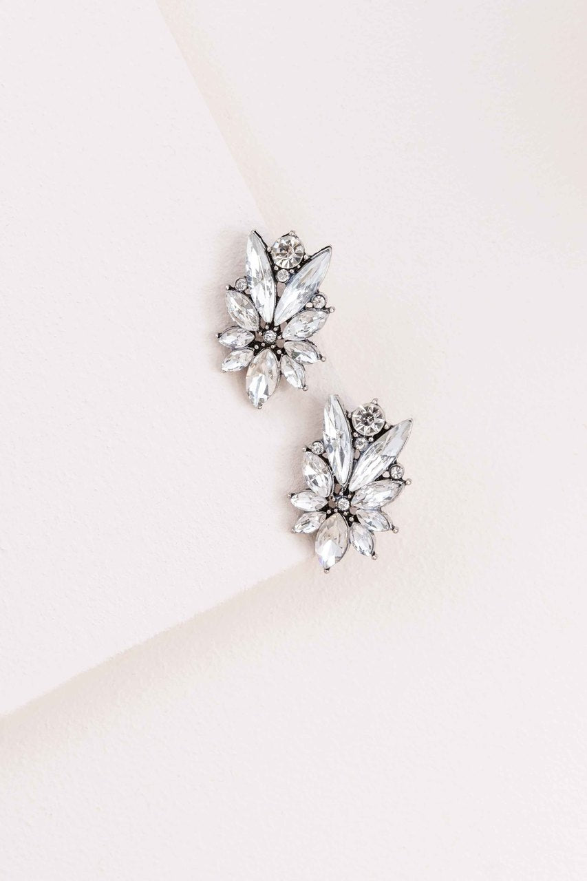 Wondrous Array Earrings