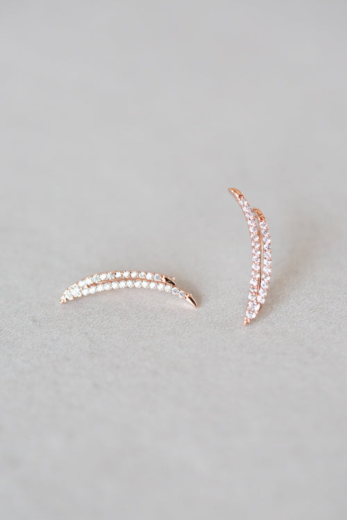 Wing Ear Pin Earrings