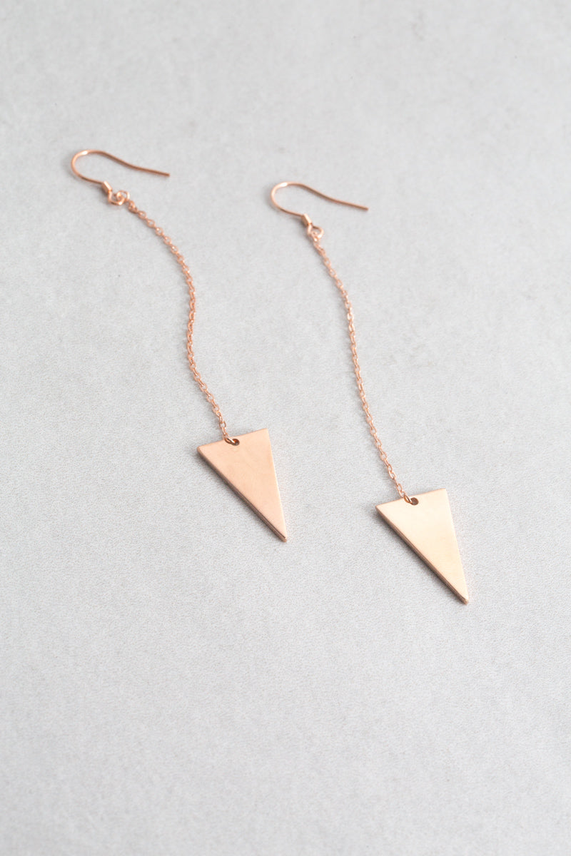 Journey Hook Earrings (14K)