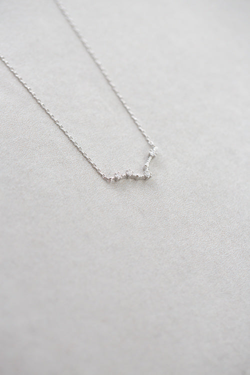 Pisces Zodiac Necklace