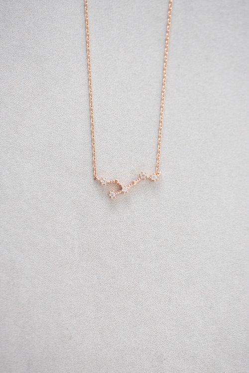 Leo Zodiac Necklace