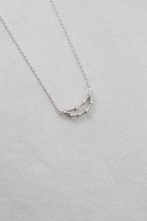 Capricorn Zodiac Necklace