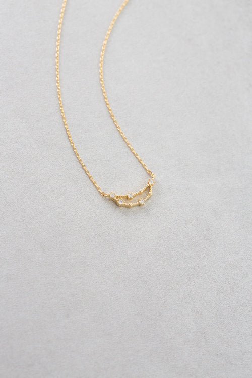 Capricorn Zodiac Necklace