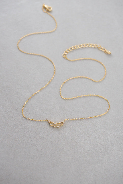 Capricorn Zodiac Necklace