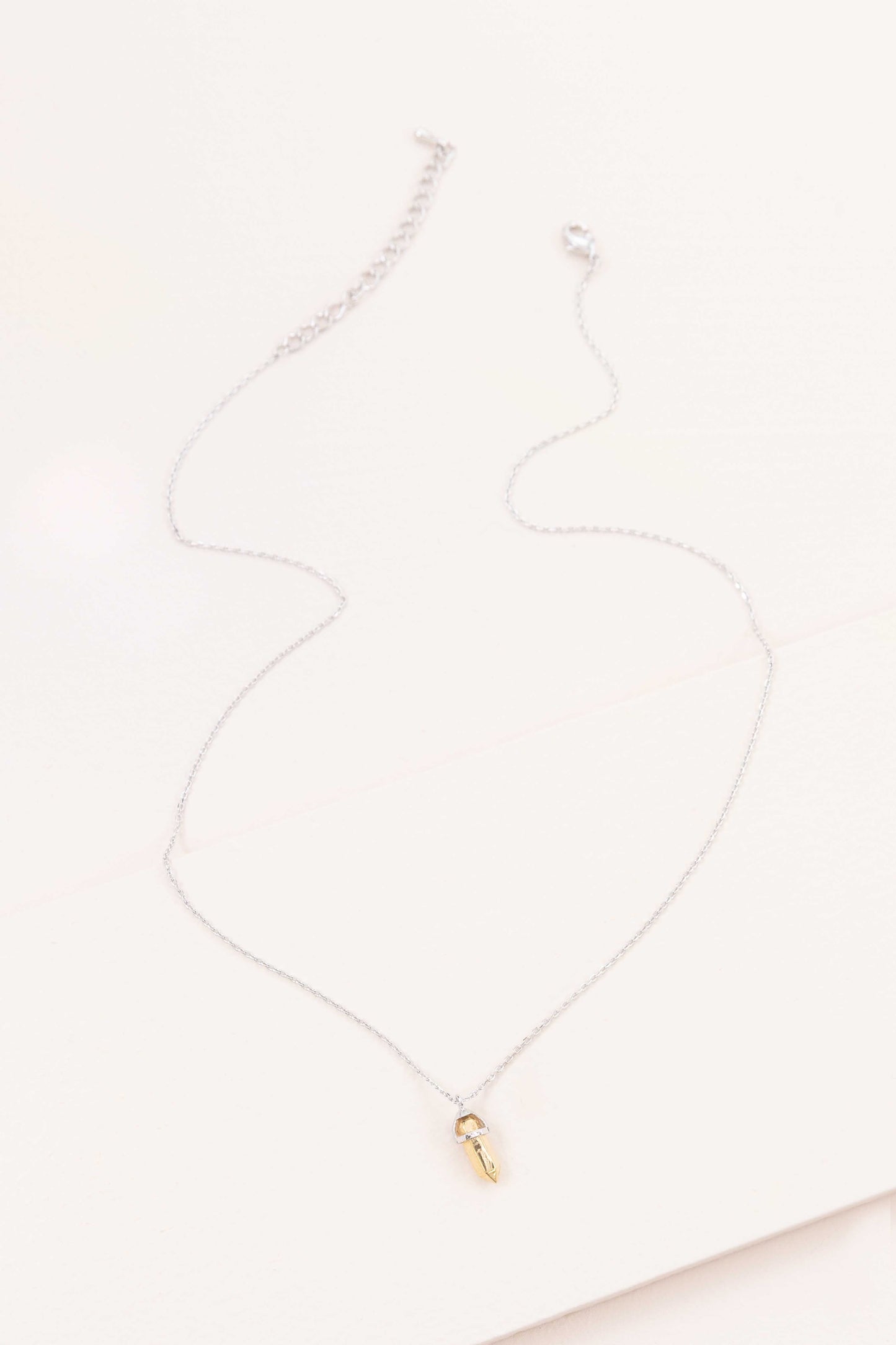 Two-tone Amulet Necklace