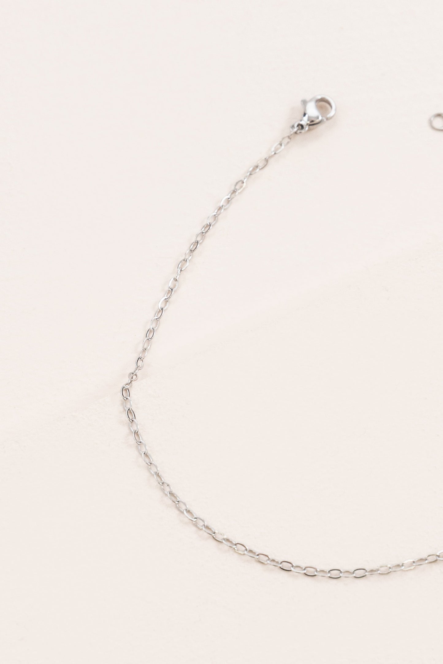 Fresh Rope Chain Anklet | Silver
