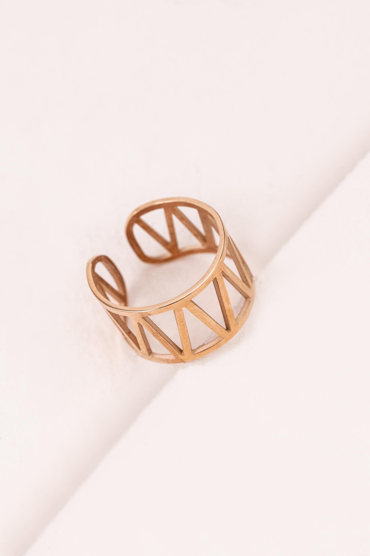 Zuri Chunky Ring (14K)