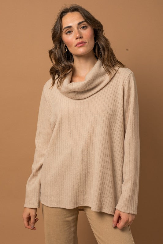 Long Sleeve Turtle Neck Top