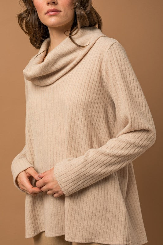 Long Sleeve Turtle Neck Top