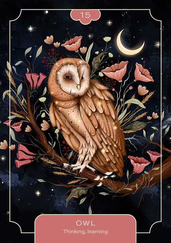 Animal Spirit Oracle by Lea Androic