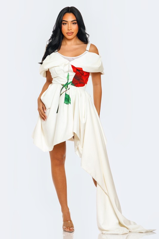 Asymmetric Off-Shoulder Floral Applique Dress