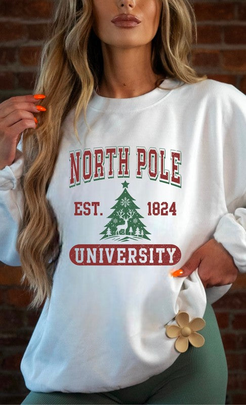 North Pole University Cozy Crewneck Sweatshirt