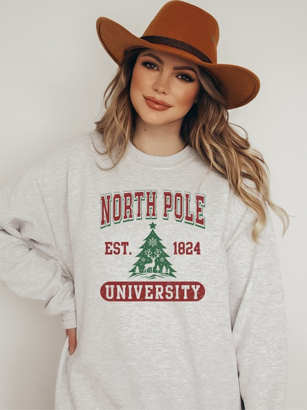 North Pole University Cozy Crewneck Sweatshirt