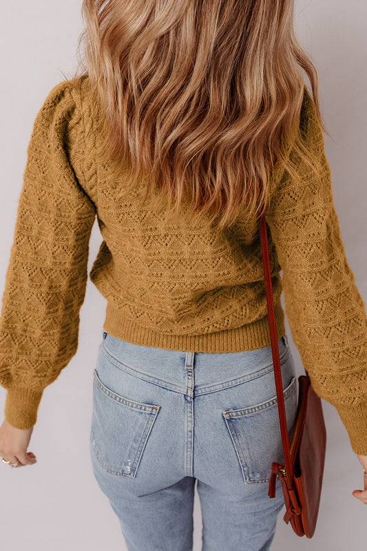 Aria Edge Balloon Sleeve Sweater