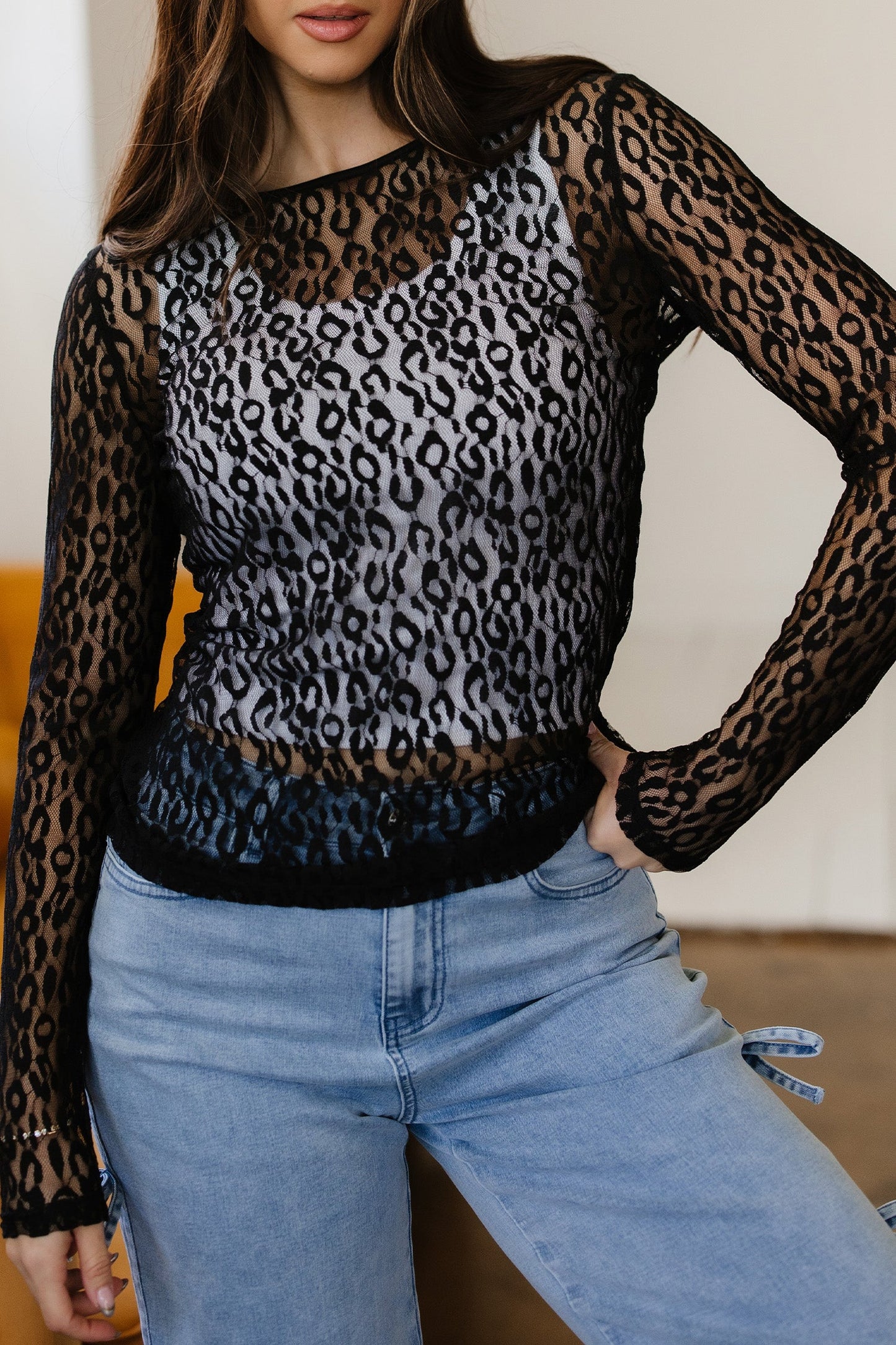 Denver Pattern Sheer Mesh Long Sleeve Top