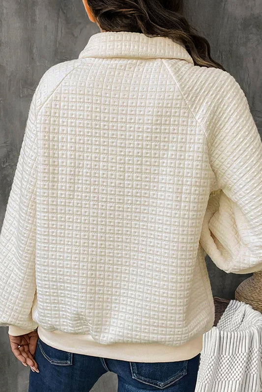 Pineapple Textured Half-Button Collared Sweatshirt
