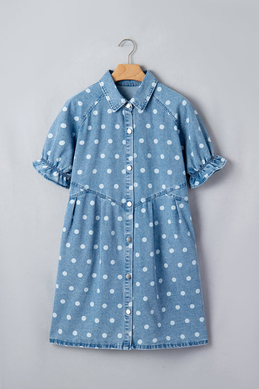 Polka Dot Denim Puff Sleeve Buttoned Dress