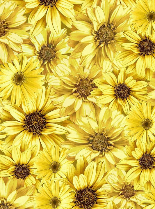Sunflower Collared Dress