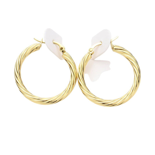 Twisted Stainless Steel Hoop Pin Catch Earrings