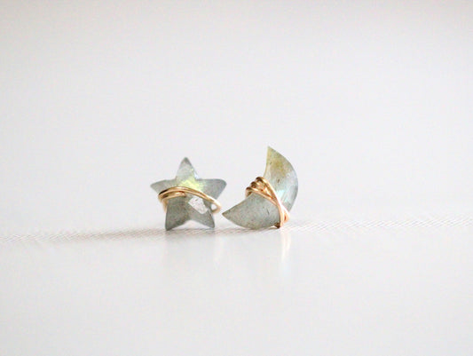 Moonbeam & Stardust Studs - Labradorite
