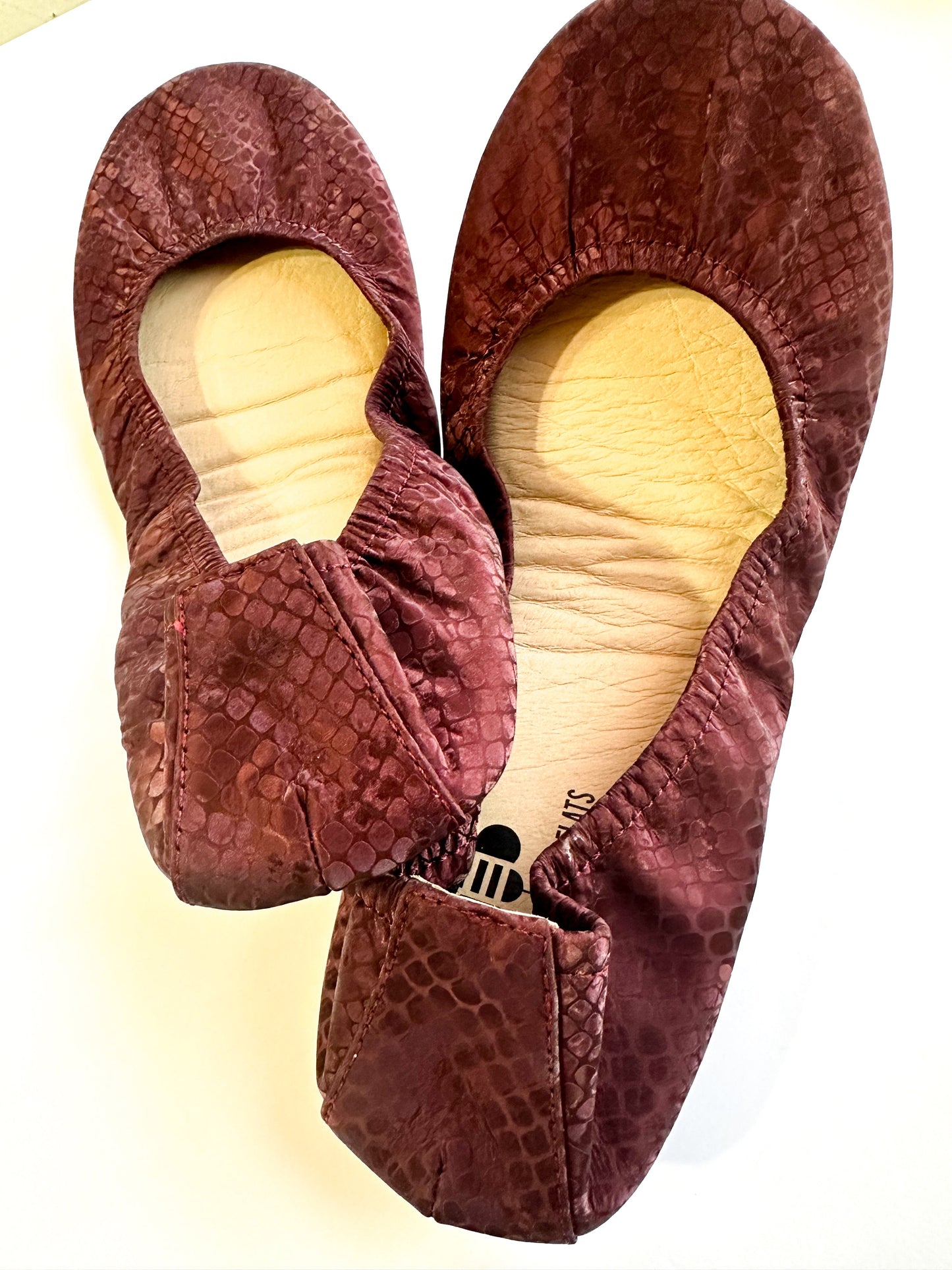 Garnet Snakes