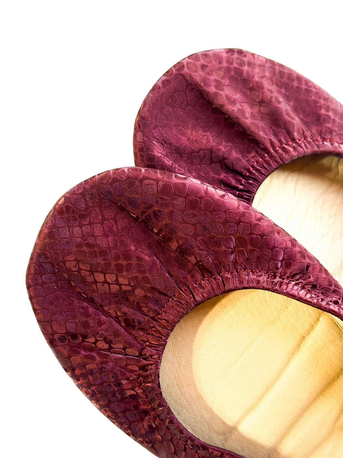 Garnet Snakes