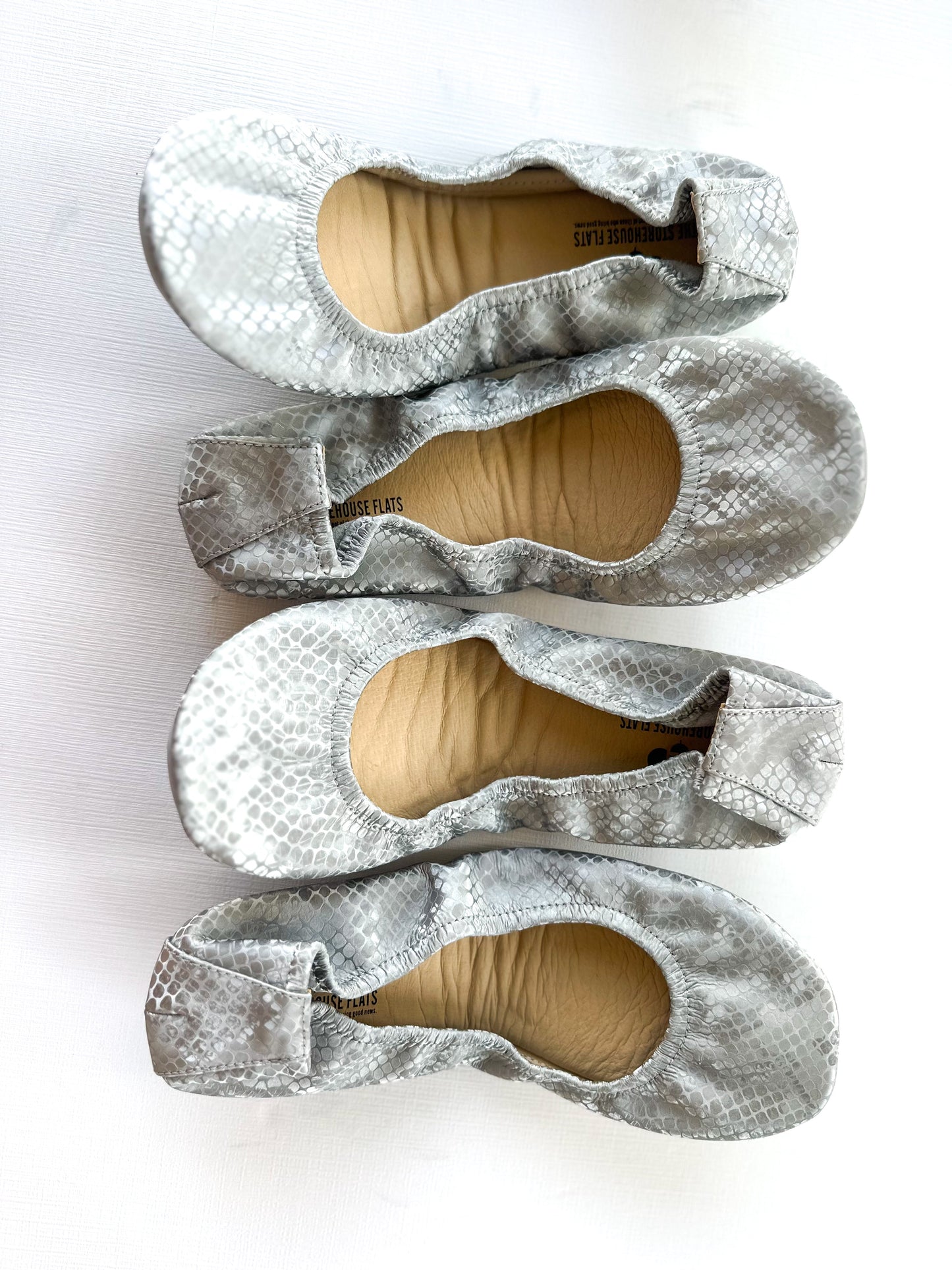 Dusty Snakes
