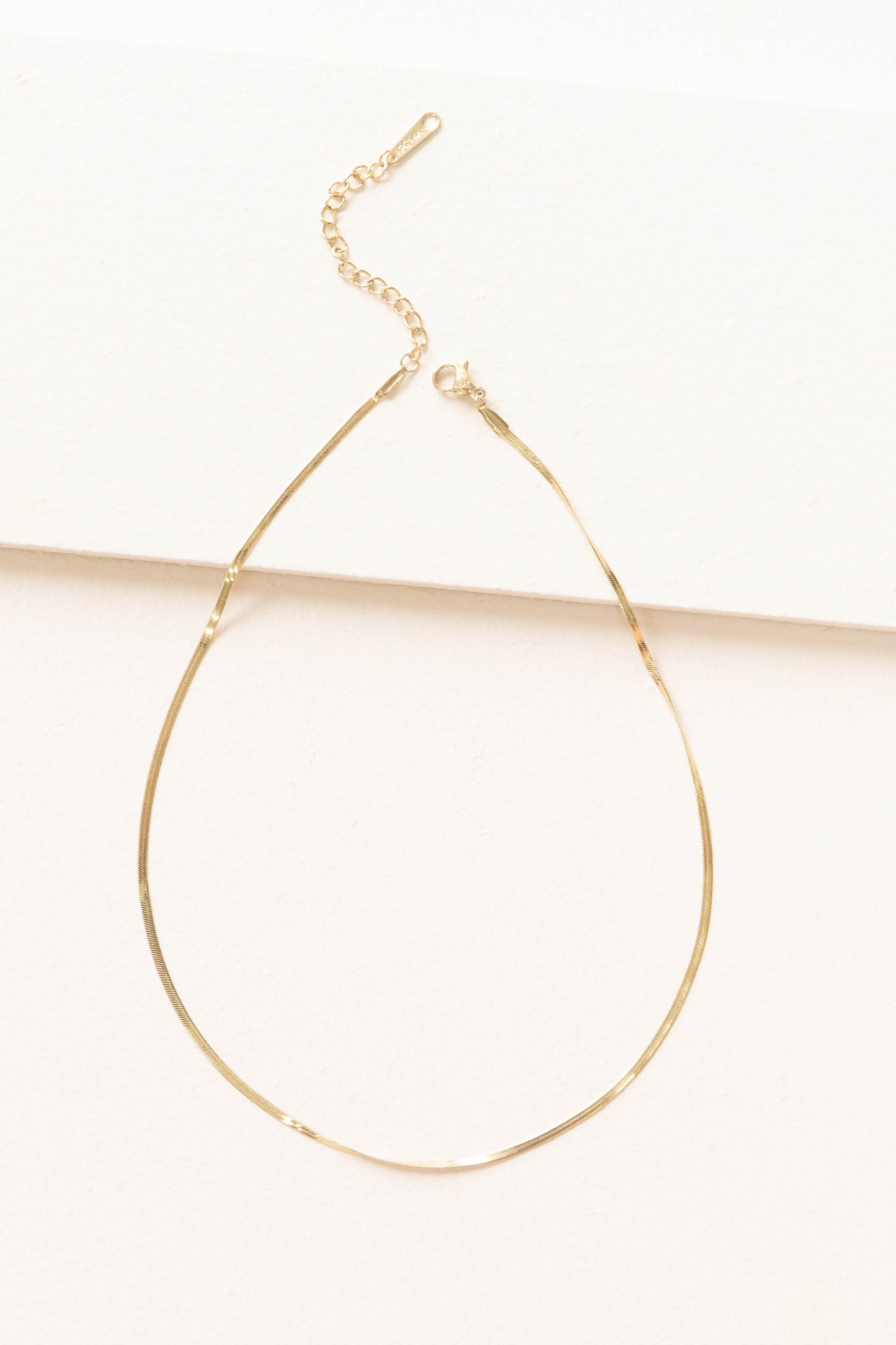 Snake Chain Choker Necklace