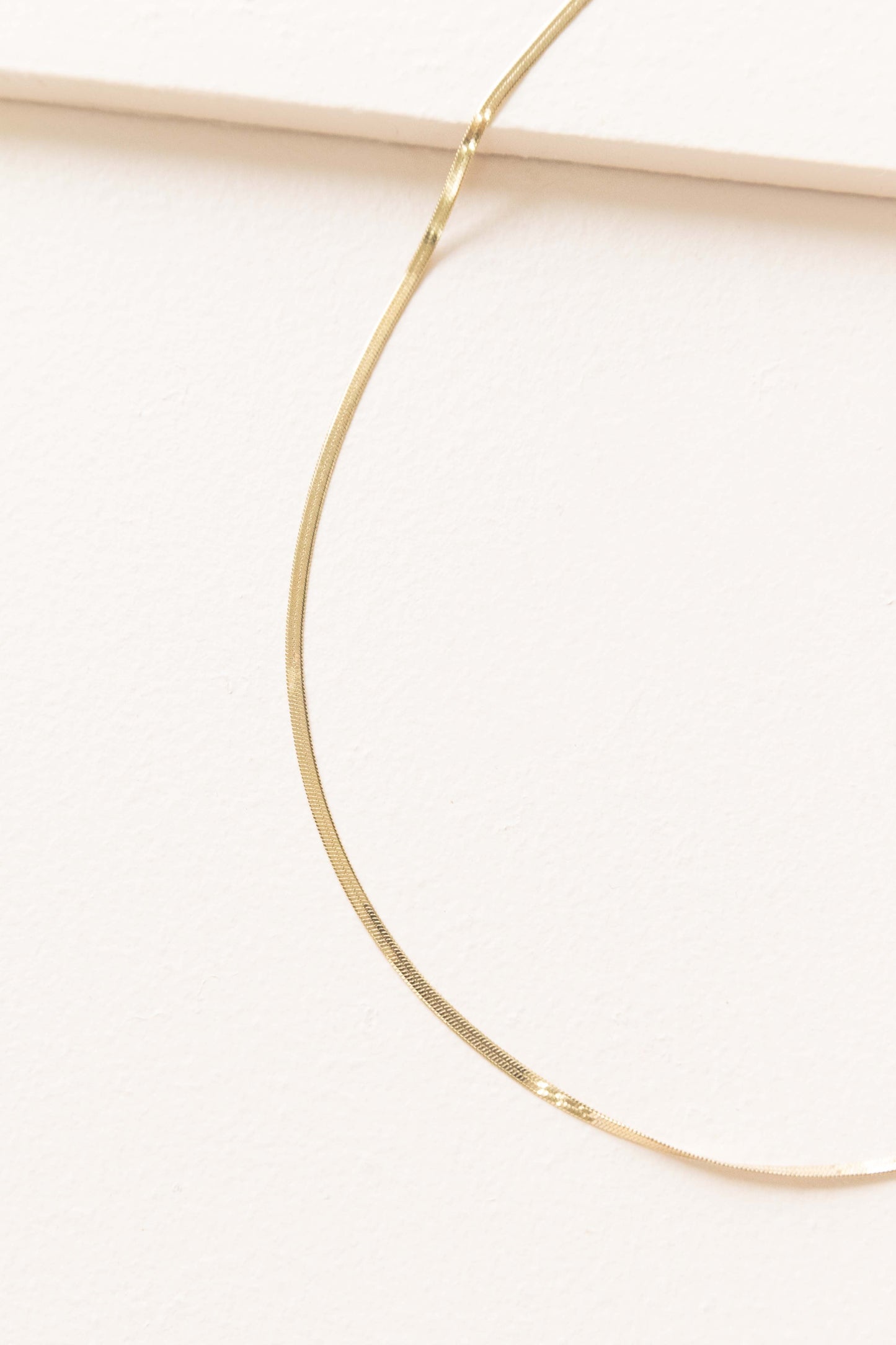 Snake Chain Choker Necklace