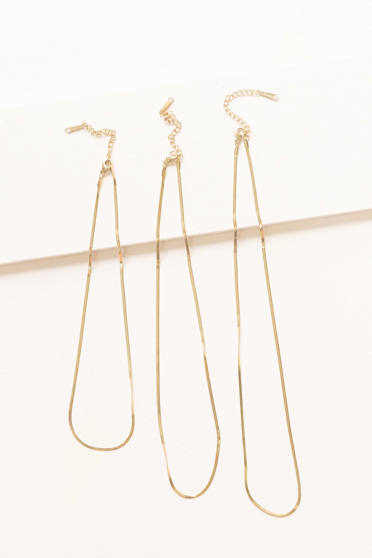 Snake Chain Long Necklace