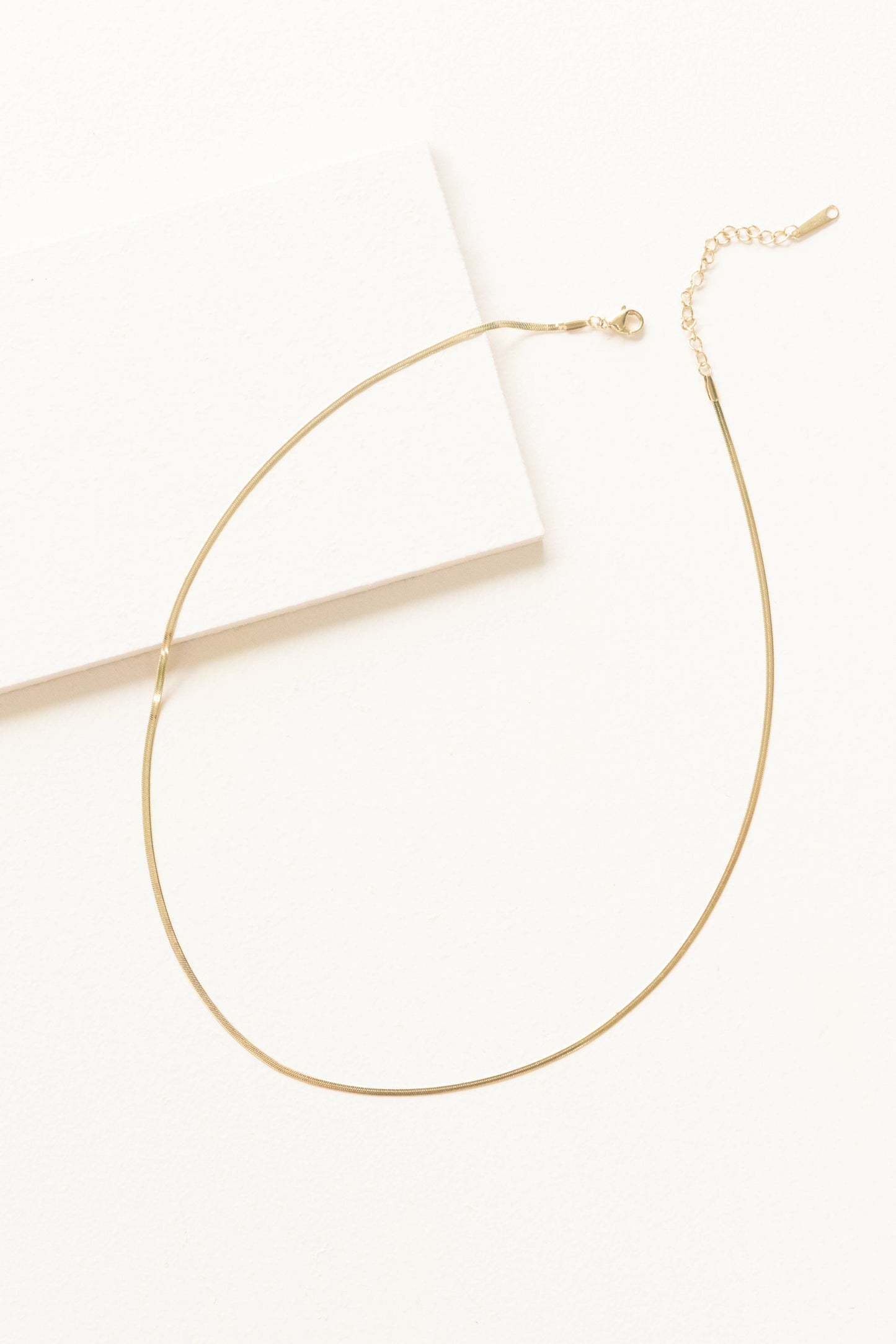 Snake Chain Necklace