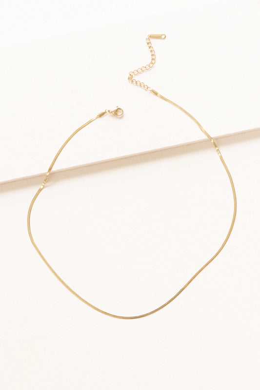 Snake Chain Long Necklace